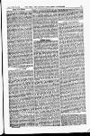 Field Saturday 25 November 1899 Page 23
