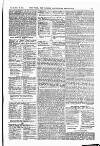 Field Saturday 23 November 1901 Page 43