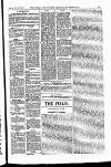 Field Saturday 24 May 1902 Page 25