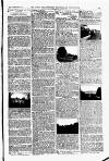 Field Saturday 17 January 1903 Page 5
