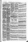 Field Saturday 17 January 1903 Page 19