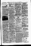 Field Saturday 16 December 1905 Page 5