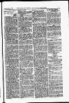 Field Saturday 23 December 1905 Page 5