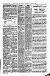 Field Saturday 18 January 1908 Page 19