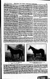 Field Saturday 11 September 1909 Page 39