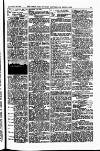 Field Saturday 21 January 1911 Page 5