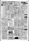 Cheddar Valley Gazette Friday 04 April 1969 Page 13