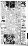 Cheddar Valley Gazette Thursday 08 April 1976 Page 13