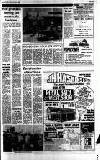 Cheddar Valley Gazette Thursday 24 May 1979 Page 11