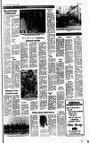 Cheddar Valley Gazette Thursday 24 January 1980 Page 13