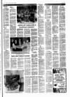 Cheddar Valley Gazette Thursday 21 February 1980 Page 13