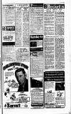 Cheddar Valley Gazette Thursday 28 February 1980 Page 17