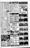 Cheddar Valley Gazette Thursday 05 June 1980 Page 17