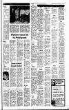 Cheddar Valley Gazette Thursday 02 October 1980 Page 15