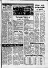 Cheddar Valley Gazette Thursday 02 October 1986 Page 61