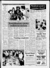 Cheddar Valley Gazette Thursday 29 January 1987 Page 13