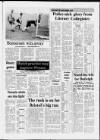 Cheddar Valley Gazette Thursday 29 January 1987 Page 52