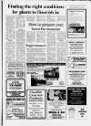 Cheddar Valley Gazette Thursday 19 March 1987 Page 17