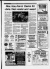 Cheddar Valley Gazette Thursday 04 June 1987 Page 19