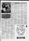 Cheddar Valley Gazette Thursday 18 June 1987 Page 17