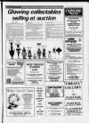 Cheddar Valley Gazette Thursday 18 June 1987 Page 25