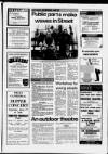 Cheddar Valley Gazette Thursday 18 June 1987 Page 31
