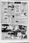 Cheddar Valley Gazette Thursday 02 July 1987 Page 47