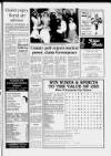 Cheddar Valley Gazette Thursday 10 December 1987 Page 17