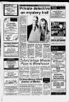 Cheddar Valley Gazette Thursday 21 January 1988 Page 31