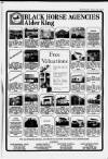Cheddar Valley Gazette Thursday 04 February 1988 Page 33