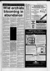 Cheddar Valley Gazette Thursday 07 July 1988 Page 25