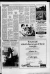 Cheddar Valley Gazette Thursday 28 July 1988 Page 13