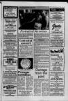 Cheddar Valley Gazette Thursday 01 September 1988 Page 31