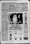 Cheddar Valley Gazette Thursday 15 September 1988 Page 27