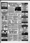 Cheddar Valley Gazette Thursday 23 February 1989 Page 31