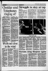 Cheddar Valley Gazette Thursday 23 February 1989 Page 61