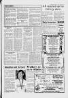 Cheddar Valley Gazette Thursday 13 July 1989 Page 13