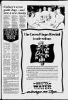 Cheddar Valley Gazette Thursday 13 July 1989 Page 15