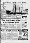Cheddar Valley Gazette Thursday 20 July 1989 Page 3