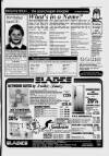 Cheddar Valley Gazette Thursday 20 July 1989 Page 13