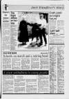 Cheddar Valley Gazette Thursday 20 July 1989 Page 33