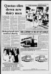 Cheddar Valley Gazette Thursday 27 July 1989 Page 25