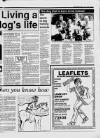 Cheddar Valley Gazette Thursday 27 July 1989 Page 37