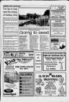 Cheddar Valley Gazette Thursday 31 August 1989 Page 37