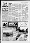 Cheddar Valley Gazette Thursday 28 September 1989 Page 19