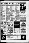 Cheddar Valley Gazette Thursday 15 February 1990 Page 31