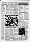 Cheddar Valley Gazette Thursday 15 November 1990 Page 55