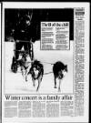 Cheddar Valley Gazette Thursday 14 February 1991 Page 45