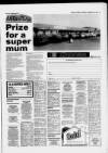 Staines & Ashford News Thursday 25 February 1988 Page 33