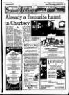 Staines & Ashford News Thursday 21 December 1989 Page 33